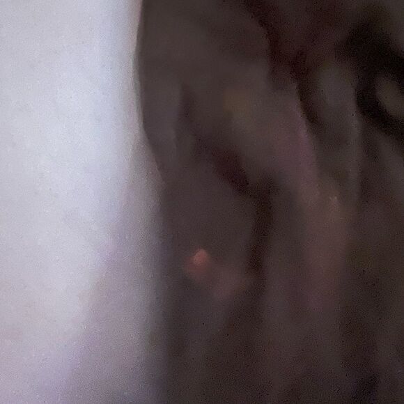 tods dust bag purse shoes duffle handbag - Picture 3 of 4